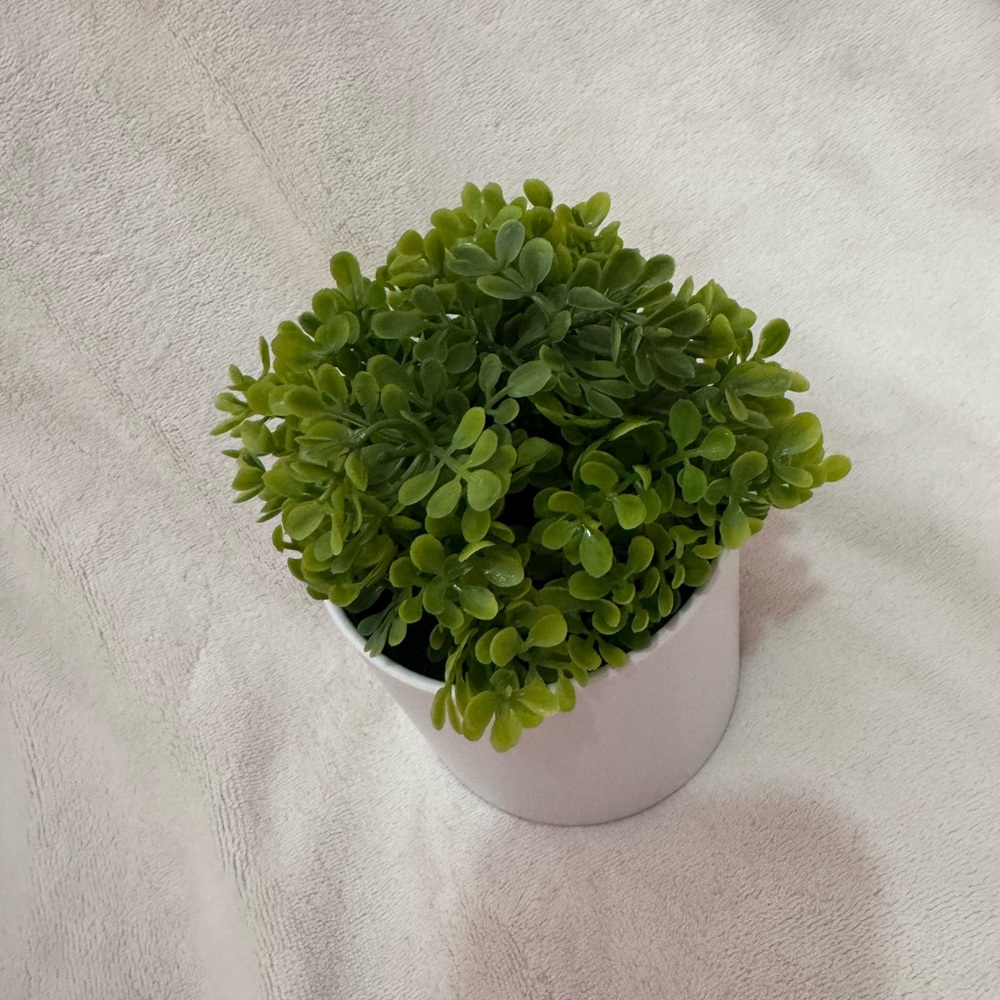 Threshold faux plant green decorative - Picture 2 of 3